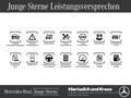 Mercedes-Benz EQS SUV EQS 450+ SUV AMG Line+AIRMATIC+360°-Kamera+Pano+Burmester+Hyperscreen+DIGIAL LIGHT+HA-Lenkung+22"+ Schwarz - thumbnail 14