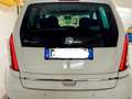 Lancia MUSA Musa 1.4 8v E-Collection ecochic Gpl Bianco - thumbnail 13
