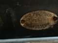 Oldtimer Mercedes Benz Cabriolet A Blauw - thumbnail 11
