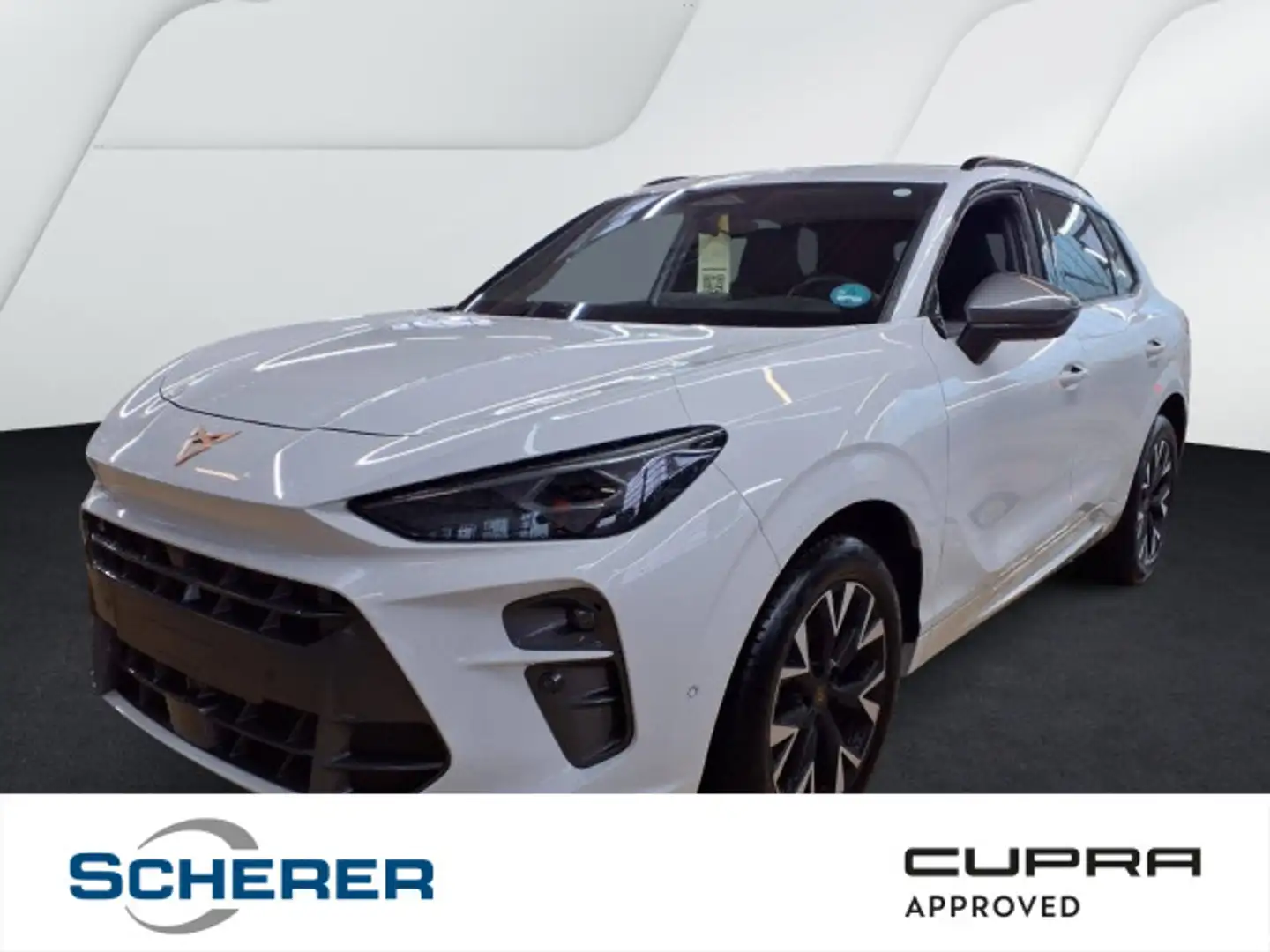 CUPRA Terramar 1.5 eTSI DSG Navi SHZ PDC RFK HuD GJR Weiß - 1