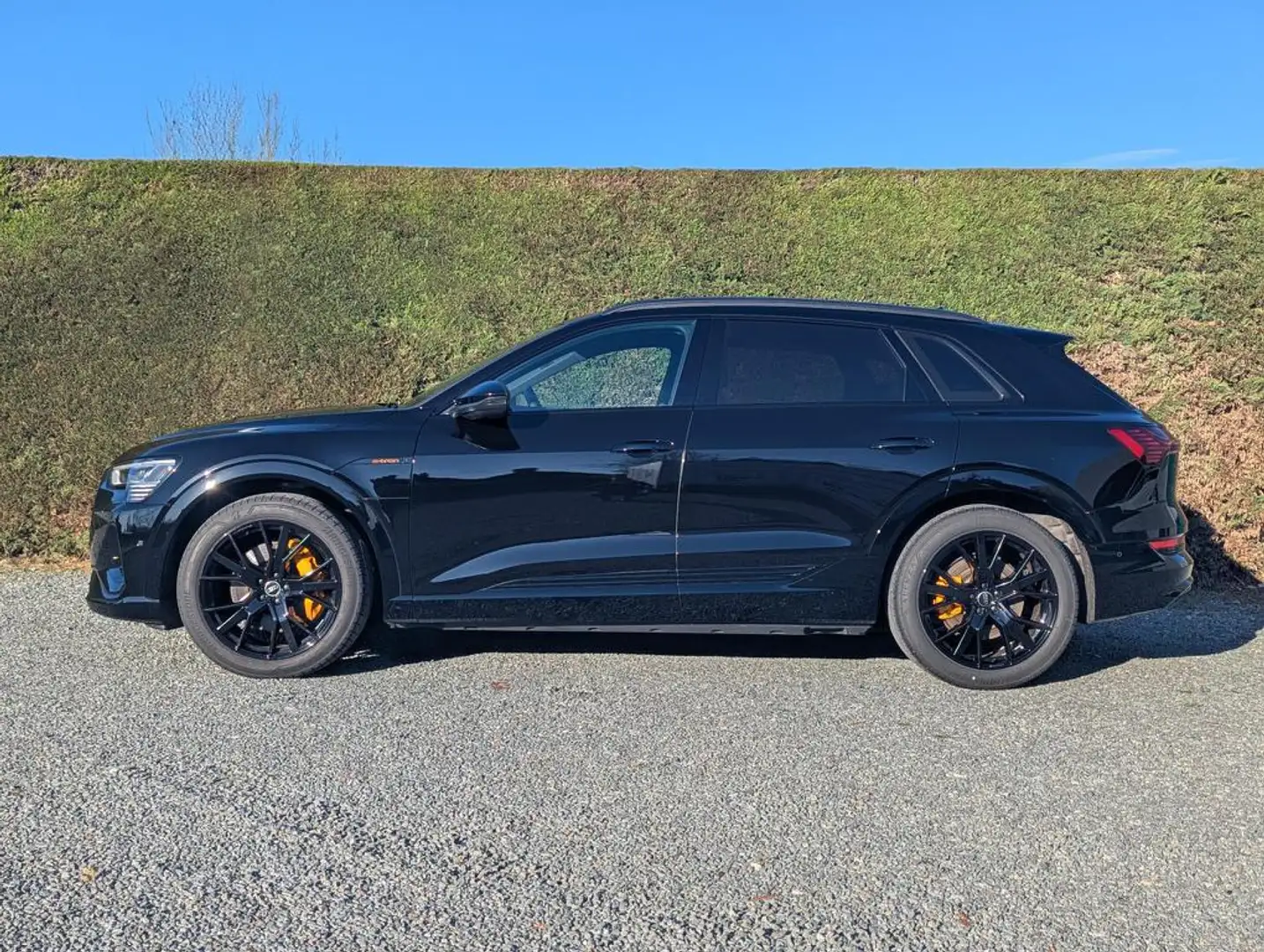 Audi Q8 e-tron (Q8)e-tron - 2x s-line - sportstuur - B&O Negro - 2