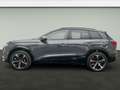 Audi SQ6 edition one grey*Air*B&O*AR-HUD*P Сірий - thumbnail 2