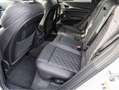 Audi Q5 Sportback Sportback S line 40 TDI quattro S tronic Weiß - thumbnail 15