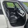 Fiat 500L 500L 1.3 mjt Business 95cv Blanco - thumbnail 10