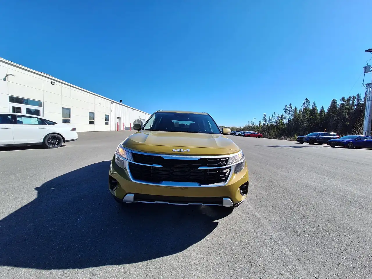 Kia Seltos снимка Kia Seltos