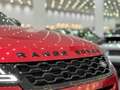 Land Rover Range Rover Evoque R-Dynamic*Black-Pack*Pano*HUD*Ambiente*Head-up* Rot - thumbnail 12