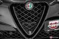 Alfa Romeo Stelvio Quadrifoglio 2,9 V6 Bi-Turbo*Akrapovic*Carbon Zwart - thumbnail 5