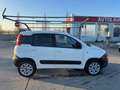 Fiat Panda Panda 1.3 mjt 16v 4x4 75cv VAN 2 P IVA ESCLUSA Bianco - thumbnail 5