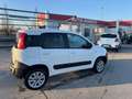 Fiat Panda Panda 1.3 mjt 16v 4x4 75cv VAN 2 P IVA ESCLUSA Bianco - thumbnail 6