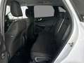 Ford Kuga 1.5 EcoBoost TITANIUM 110 kW, 5-türig Blanc - thumbnail 8