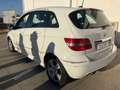 Mercedes-Benz B 200 200CDI Autotronic Blanco - thumbnail 15