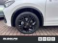 Volkswagen Tiguan 2.0 TDI R-Line 4Motion DSG HUD LED BT StandHZG Har Weiß - thumbnail 5