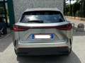 Lexus NX 450h+ NX II 2022 450h+ 2.5 phev Premium 4wd e-cvt Grigio - thumbnail 1