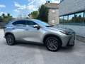 Lexus NX 450h+ NX II 2022 450h+ 2.5 phev Premium 4wd e-cvt Grigio - thumbnail 2