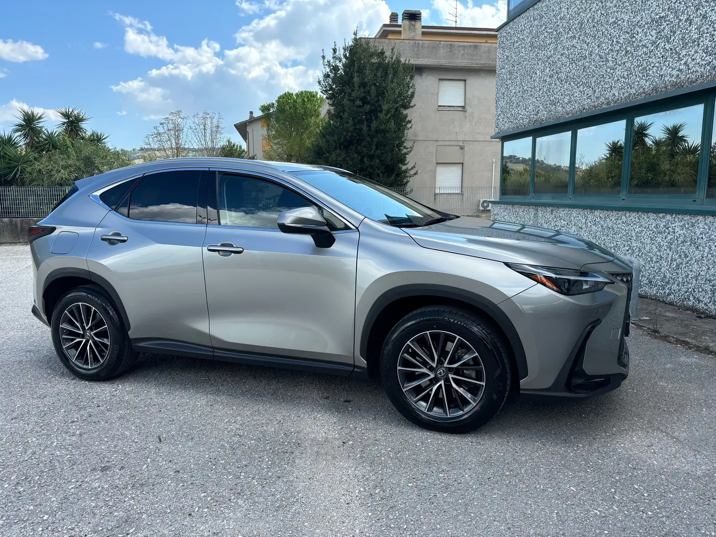 Lexus NX 450h+ NX II 2022 450h+ 2.5 phev Premium 4wd e-cvt Grigio - 2