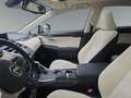 Lexus NX 300 h E-Four Luxury Line 8FACH/AHK Silber - thumbnail 8