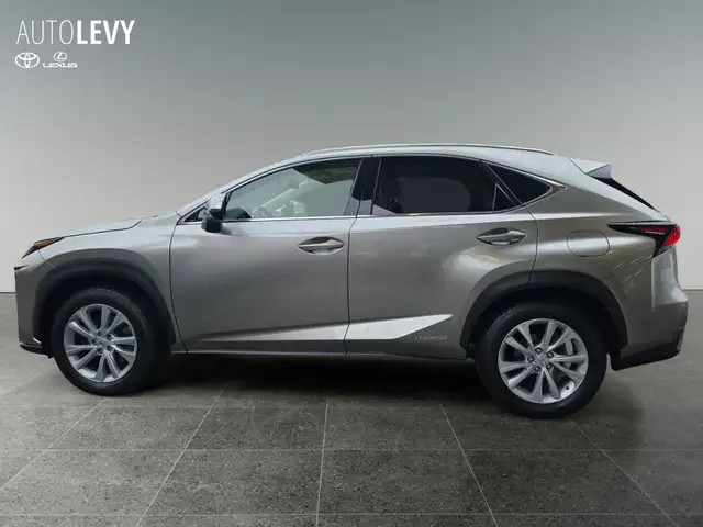Lexus NX 300 h E-Four Luxury Line 8FACH/AHK
