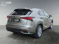 Lexus NX 300 h E-Four Luxury Line 8FACH/AHK Silber - thumbnail 5