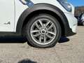 MINI Cooper D Countryman 4x4 1.6 Cooper D all4 "CATENA NUOVA" - thumbnail 15