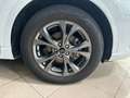 Ford Kuga 1.5 EcoBoost ST-Line X FWD 150 Blanco - thumbnail 18