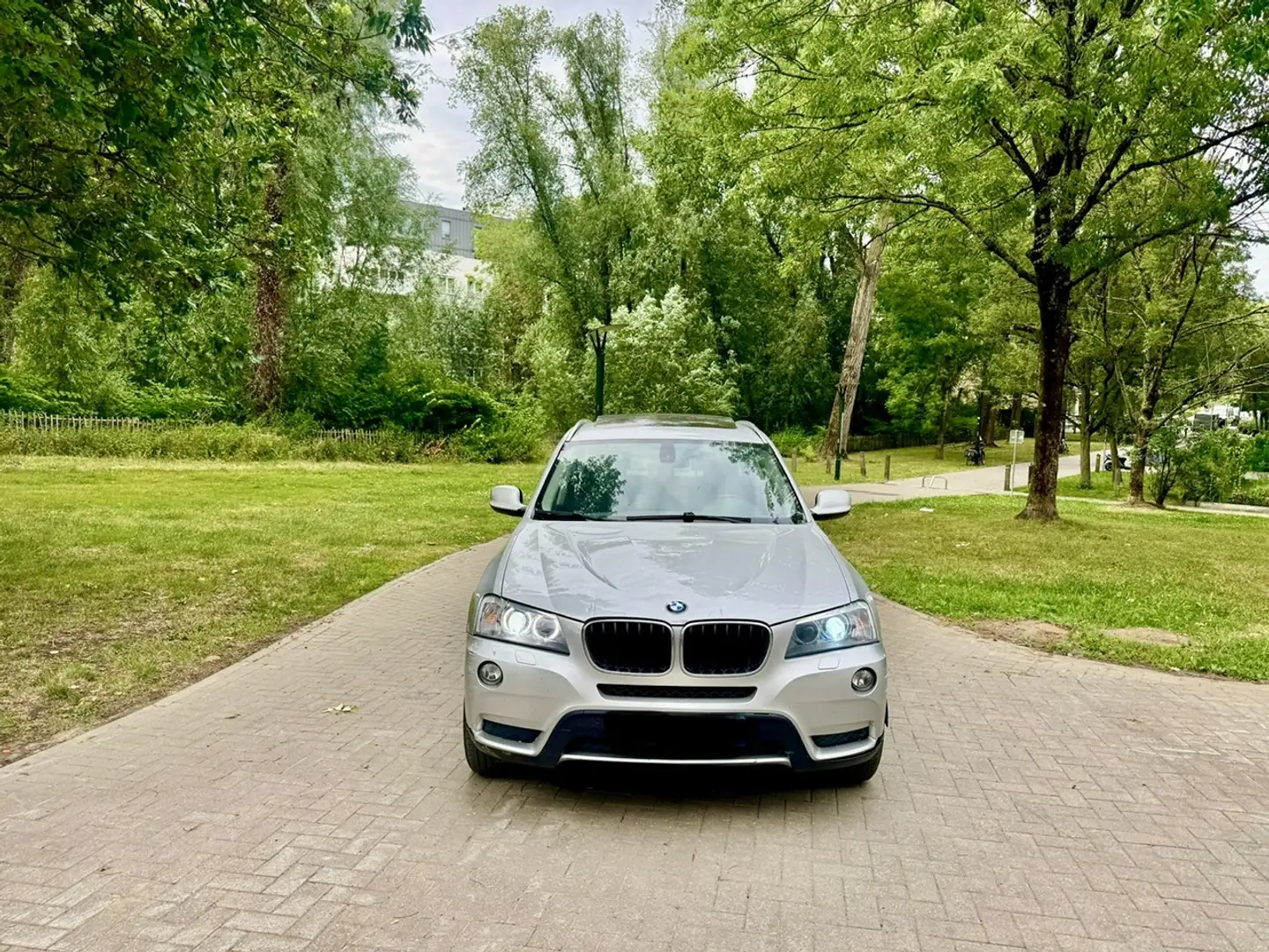 BMW X3 X3 2.0 d xDrive20 Gris - 2