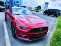 Ford Mustang Mustang 2.3 EcoBoost Rouge - thumbnail 5
