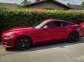 Ford Mustang Mustang 2.3 EcoBoost Rouge - thumbnail 9