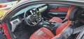 Ford Mustang Mustang 2.3 EcoBoost Rouge - thumbnail 13