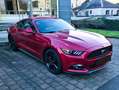 Ford Mustang Mustang 2.3 EcoBoost Rouge - thumbnail 8
