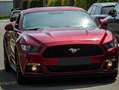 Ford Mustang Mustang 2.3 EcoBoost Rouge - thumbnail 1