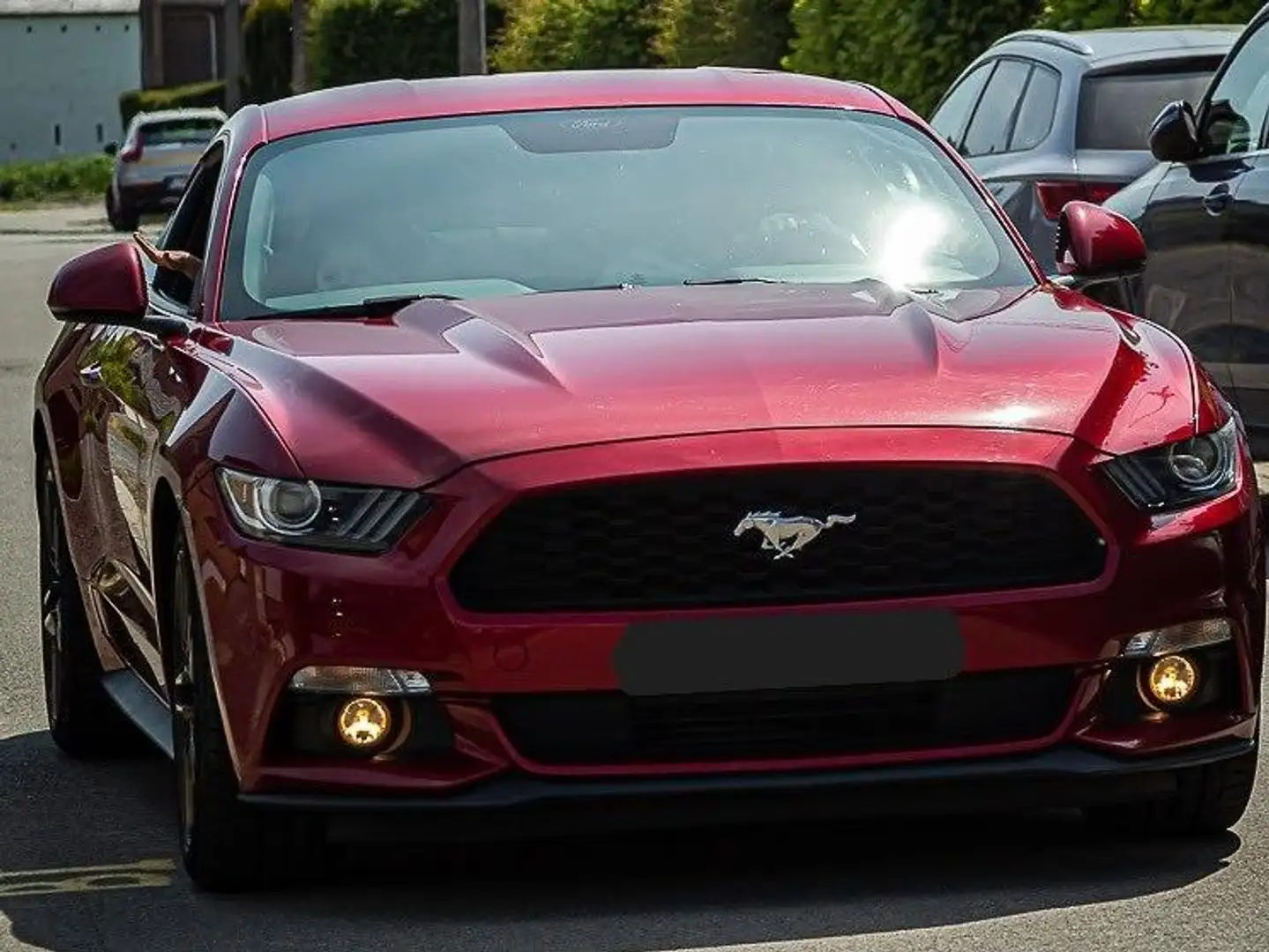 Ford Mustang Mustang 2.3 EcoBoost Rouge - 1
