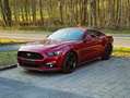 Ford Mustang Mustang 2.3 EcoBoost Rouge - thumbnail 3