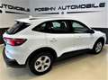 Ford Kuga 2.5 Duratec Hybrid FHEV Cool & Connect Navi Blanc - thumbnail 4