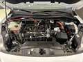 Ford Kuga 2.5 Duratec Hybrid FHEV Cool & Connect Navi Blanc - thumbnail 16