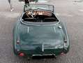 Austin-Healey 3000 Grün - thumbnail 1