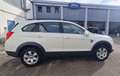 Chevrolet Captiva 2.0 vcdi 16v LTZ Unico Proprietario Bianco - thumbnail 11