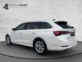 Skoda Octavia Combi 2,0 TDI Style DSG AHK HEADUP LED MEMORY A... Weiß - thumbnail 4
