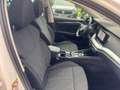 Skoda Octavia Combi 2,0 TDI Style DSG AHK HEADUP LED MEMORY A... Weiß - thumbnail 14