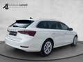 Skoda Octavia Combi 2,0 TDI Style DSG AHK HEADUP LED MEMORY A... Weiß - thumbnail 6