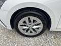 Skoda Octavia Combi 2,0 TDI Style DSG AHK HEADUP LED MEMORY A... Weiß - thumbnail 17