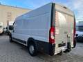 Fiat Ducato Maxi 35 150 L5H2 *LBW*DHOLLANDIA*Klima* Weiß - thumbnail 3