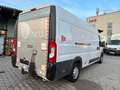 Fiat Ducato Maxi 35 150 L5H2 *LBW*DHOLLANDIA*Klima* Weiß - thumbnail 6