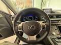 Lexus CT 200h Grau - thumbnail 24