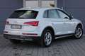 Audi Q5 35 TDI S tronic Business Advanced Prezzo Netto White - thumbnail 4