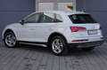 Audi Q5 35 TDI S tronic Business Advanced Prezzo Netto White - thumbnail 5