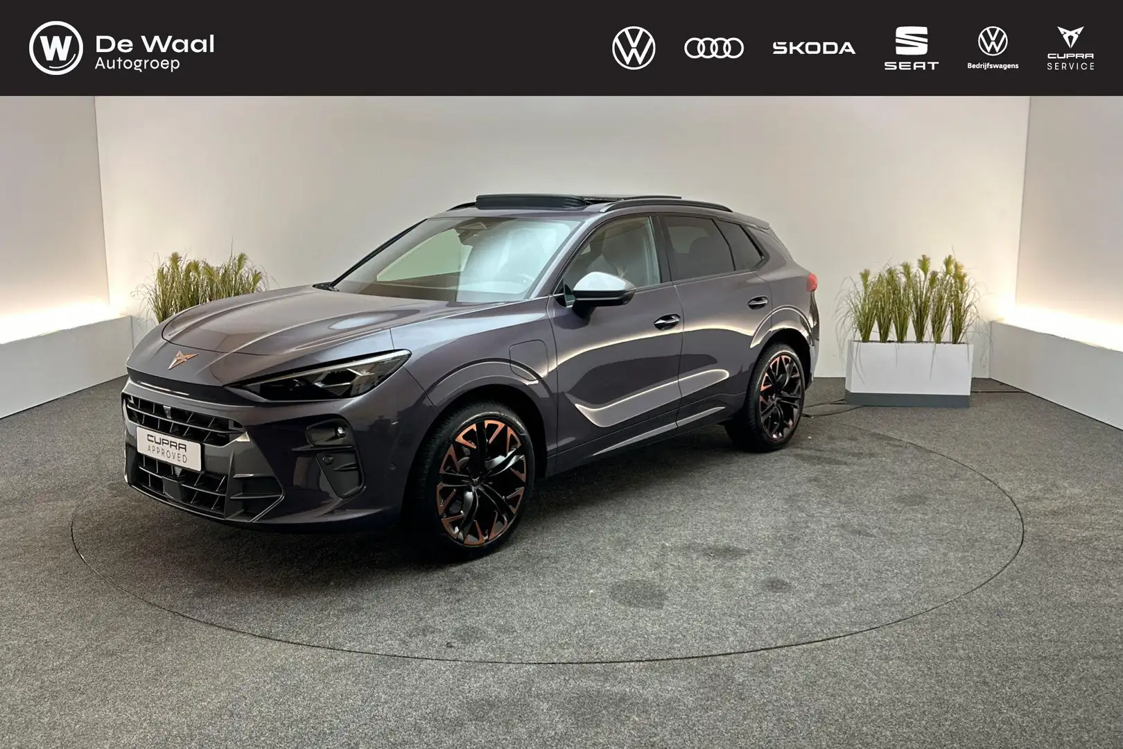 CUPRA Terramar 1.5 TSI 272pk DSG e-Hybrid VZ America s CUP | Pano Paars - 1
