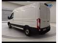 Ford Transit 290 2.0 TDCi Trend - L2H2 Bianco - thumbnail 8