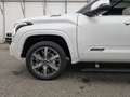 Toyota Tundra Capestone T1: 74.000 EURO ! Stock !!!!!!! Weiß - thumbnail 12
