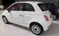 Fiat 500 500 Benzina Neopatentati          Distribuzione OK - thumbnail 6