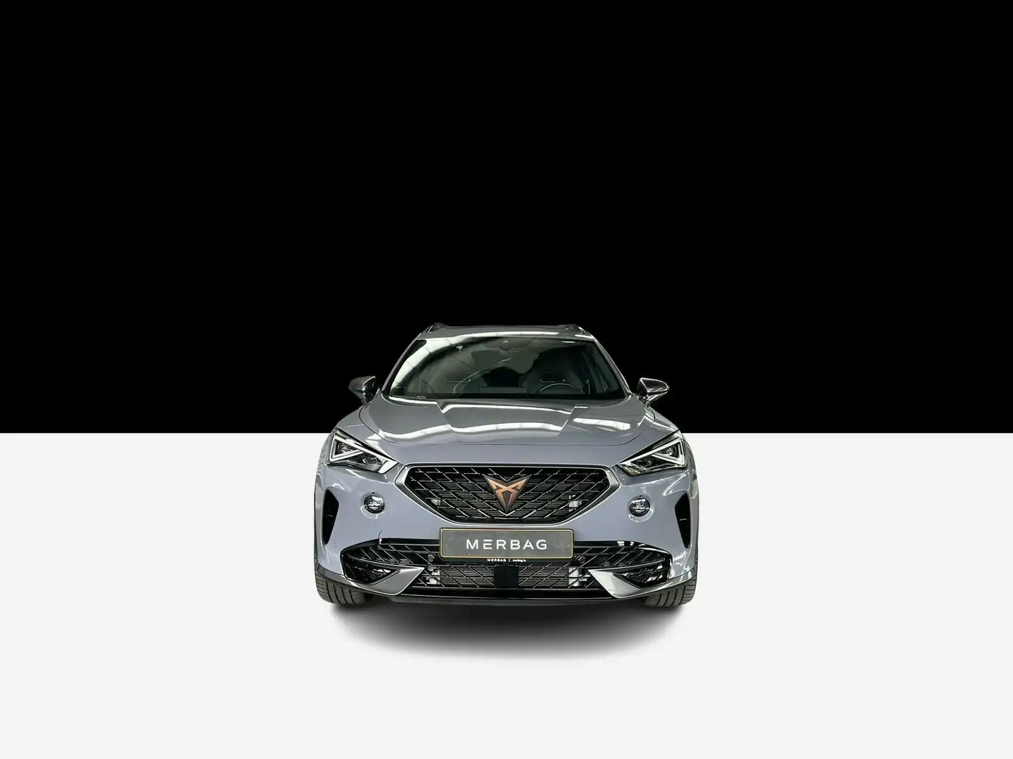 CUPRA Formentor Formentor VZ 2.0 TSI 4Drive OPF Grijs - 2